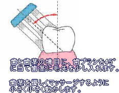 おすすめの磨き方 ～バス法～